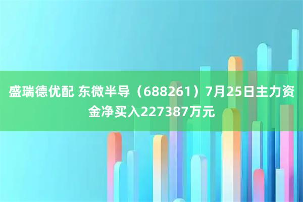 盛瑞德优配 东微半导(688261)7月25日主力资金净买入227387万元